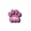 Pink Paw grooming