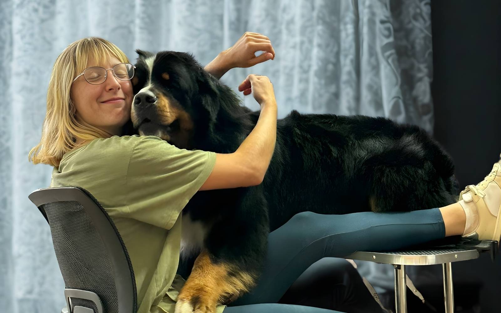 Profesionalni grooming pasa i mačaka – Pink Paw Grooming Padina